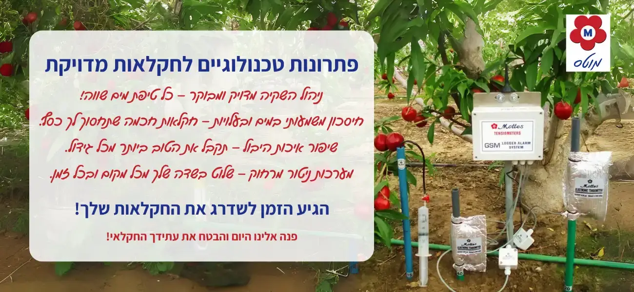 פתרונות טכנולוגיים לחקלאות חכמה ומדויקת
